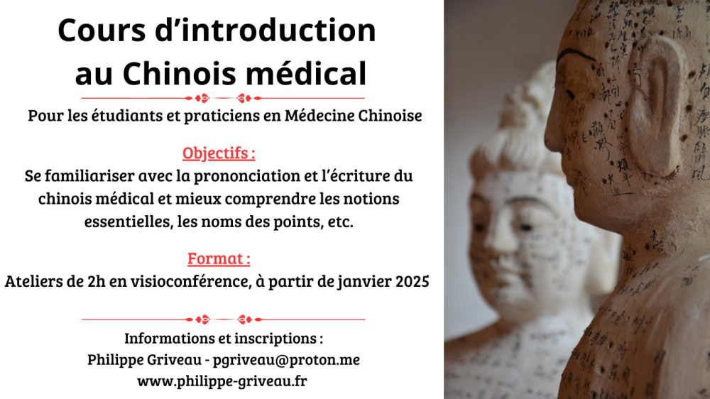 Cours d’introduction au chinois médical en visio